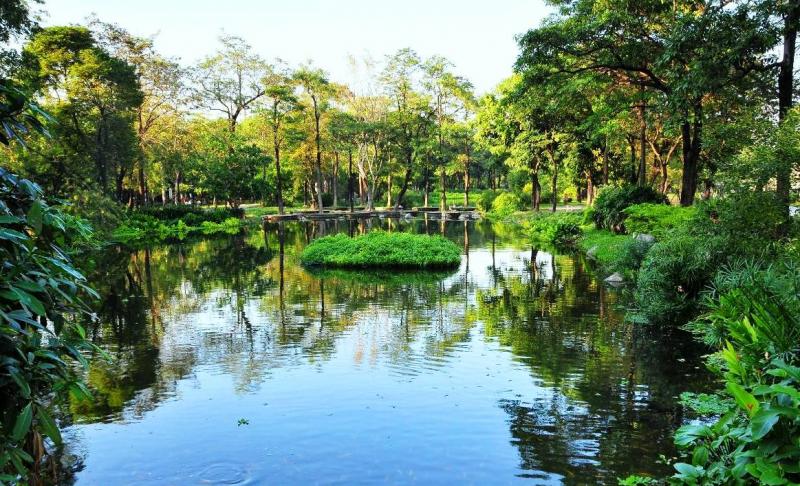 鳳山大東公園優美景觀，成為民眾走春好去處。（圖：高市府工務局提供）