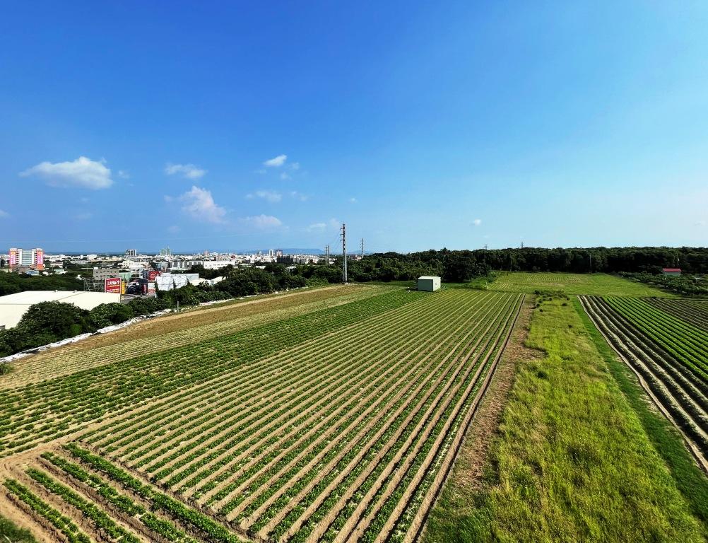 南市府地政局每年辦理3批次放租作業。今年辦理市有耕地放租反應熱烈，為延續承租熱度地政局持續加碼辦理第2批放租作業共34筆耕地，以落實「新農人」及「青農返鄉」政策。