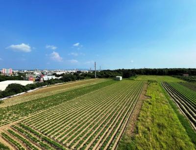 爭取新農人與青農返鄉 南市放租34筆市有耕地