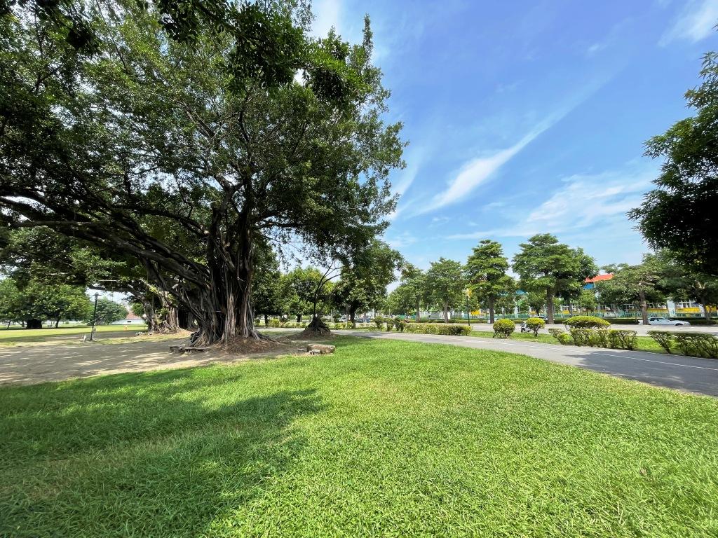 生活圈聯外交通順暢便利，快速連結上萬坪衛武營公園。