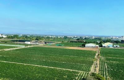 阿公遺留農地違規蓋工廠遭檢舉罰鍰補稅 用這招可合法減輕罰鍰