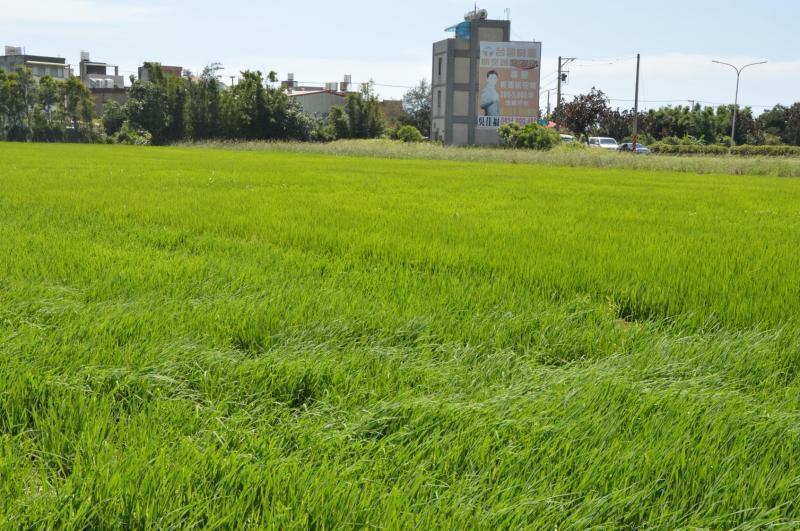國土法明年上路，農地問題不斷浮現。（本報資料照）