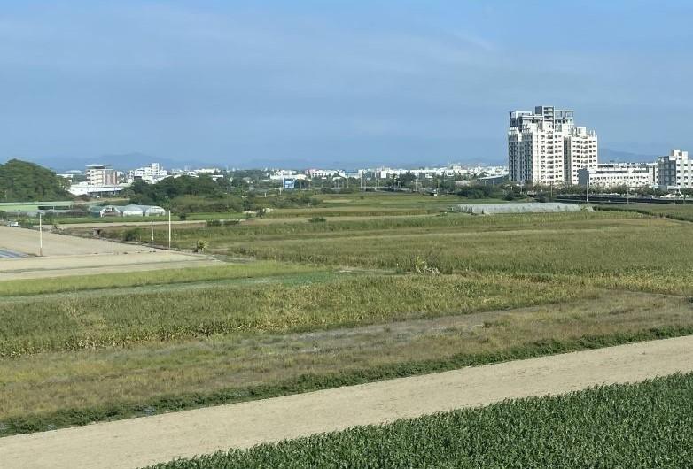 生存配偶主張剩餘財產差額分配請求權，雖可節省遺產稅，但是若土地漲價幅度過大，有可能導致出售該土地時繳納高額土地增值稅。