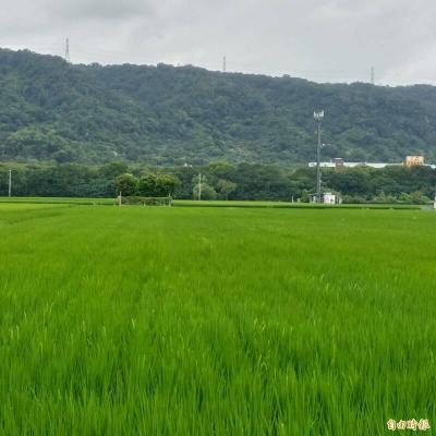 農地擴建農舍 忘辦「這證明」遭國稅局追討5年地價稅