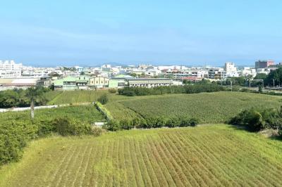 繼承阿公農地以為免稅  沒想到忘了這期限就售地  慘遭追繳大筆遺產稅