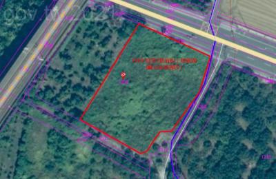 台南青年返鄉耕種機會增多！南市府將放租24筆農地 申請至12月30日