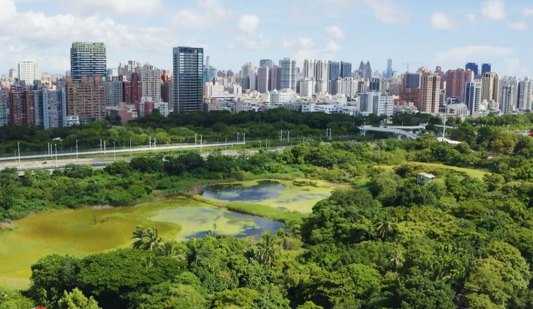 洲仔濕地緊鄰高鐵左營站區且迅速聯結台積電廠區，成為市區難得的大型生態綠地空間，站前特區的房價帶已坐5見6。(圖:高市府提供)