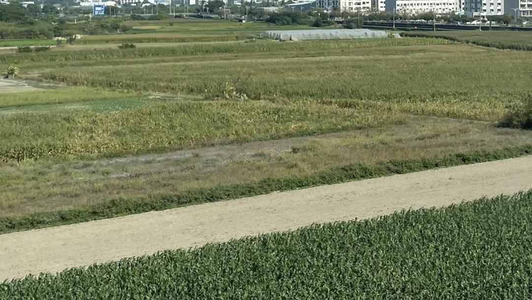 經法院拍賣的農業用地，如果拍定人為自然人，於拍定日當時符合農業使用，收到稽徵機關通知之次日起30日內，原土地所有權人或拍定人檢附鄉鎮市公所核發的「農業用地作農業使用證明書」，可向稽徵機關申請不課徵土地增值稅。