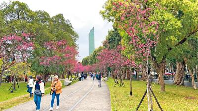 【台北】這裡為何高價難跌？　北市這一區成高資產私藏地段