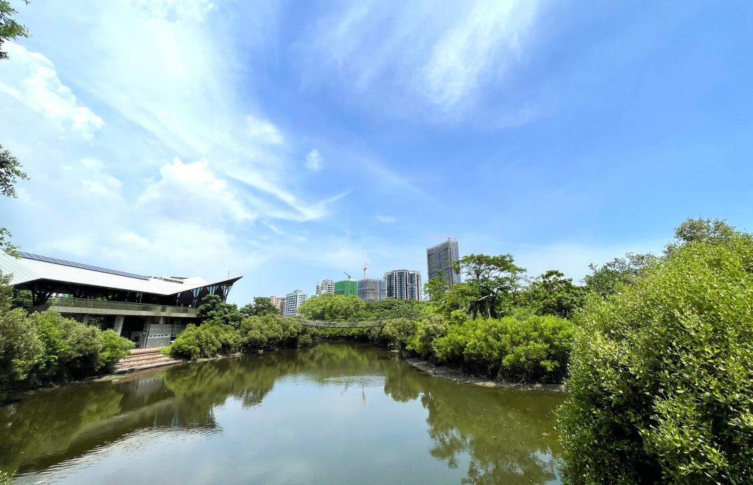 中都城劃區擁高綠覆率，吸引多家大型品牌建商陸續進場推出高質感大樓。