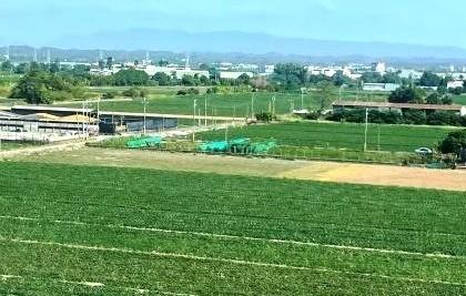 經法院拍賣的農業用地，須於拍定時作農業使用，始能申請不課徵土地增值稅。