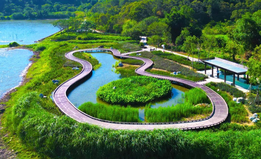 「觀音湖內埤生態廊道營造工程」日前再獲「建築園冶獎」公園綠地景觀類及零碳永續特別獎殊榮,觀音湖工程不僅提升景點休憩價值與環境美化,更以「螢火蟲復育」為營造核心之一,並栽植超過300棵喬木提升綠覆率,更變身為生態新景點。(圖:高市府觀光局提供)