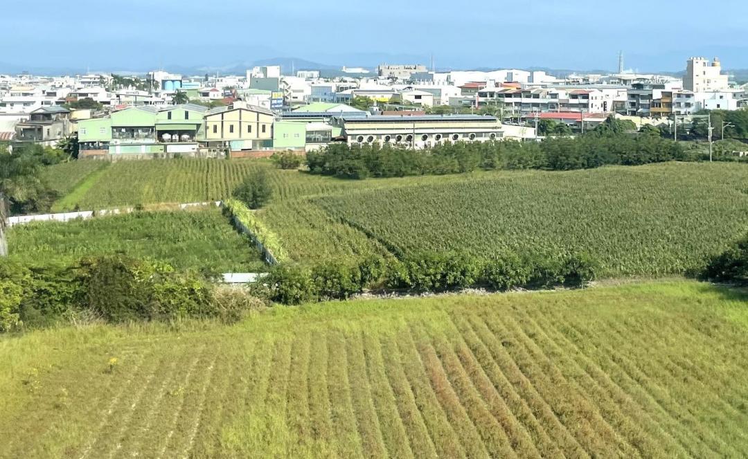 都市土地住宅區、工業區或商業區等土地，如查得公共設施已完竣，縱使土地種植蔬菜、稻米等作農業使用，仍會自公共設施完竣的次年起改課地價稅。