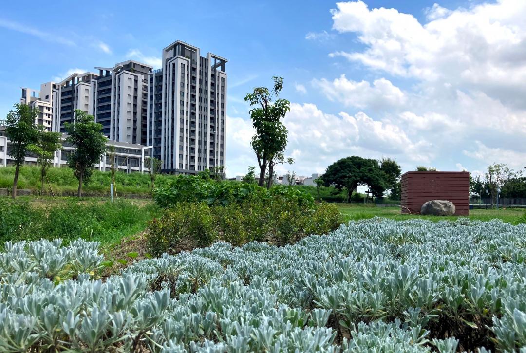 高市府水利局推動「九番埤排水水岸環境營造計畫」第二期已順利於6月底完工。並在九番埤濕地公園導入多項生態友善設計，為人口日益增加的仁武地區居民，創造更優質的休憩與親水空間。(圖:高市府水利局提供)