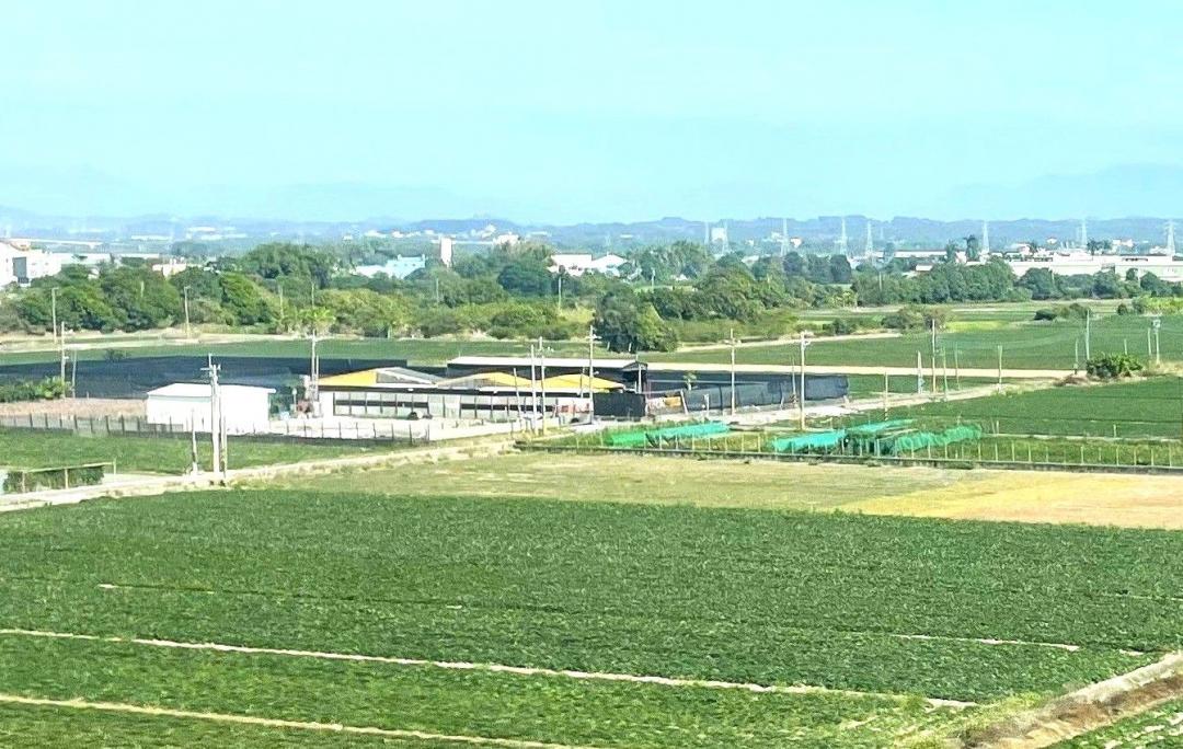 視為農地案件各地稅務局將陸續進行大清查，如有未作農業使用情形，所有權人務必要在期限內恢復作農業使用，否則即使取得土地作農業使用證明書，該筆土地再移轉時仍須課徵土地增值稅。