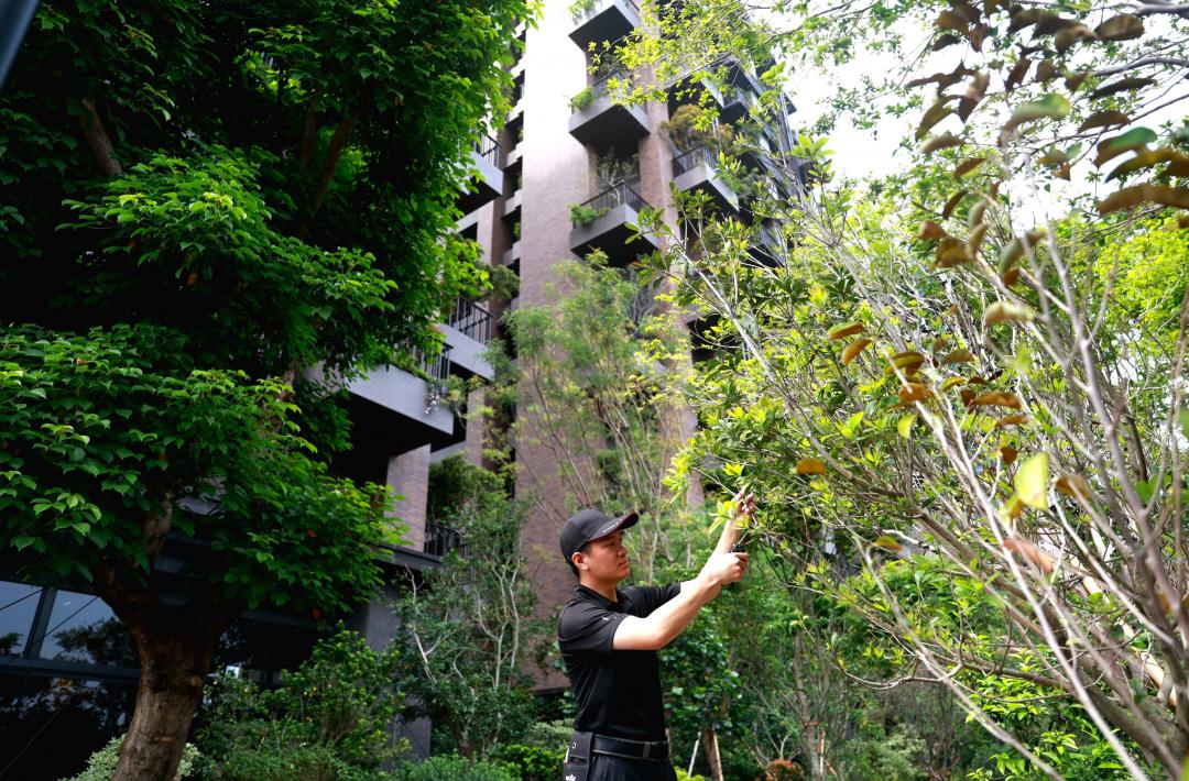 陸府建設自組綠海團隊協助社區與各戶後續的綠意維養。(圖:業者提供)