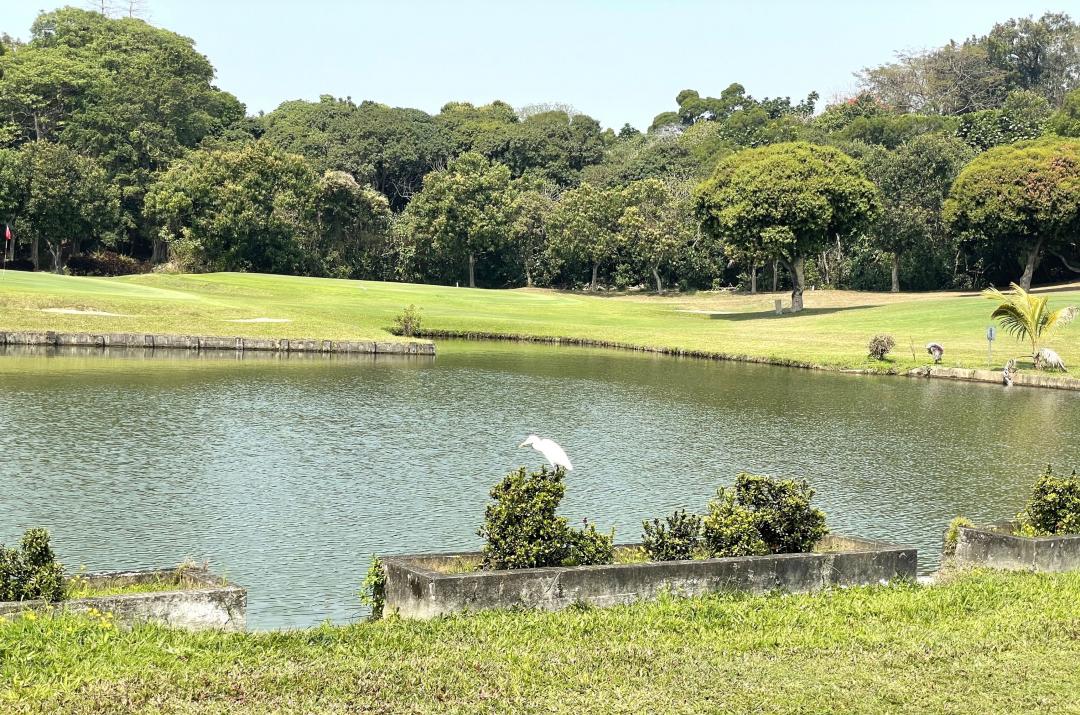 占地約70公頃的高雄高爾夫球場由高市府接管，並進行滯洪池工程改建，預計於10月更名為「果嶺自然公園」，開放市民休憩賞景使用。