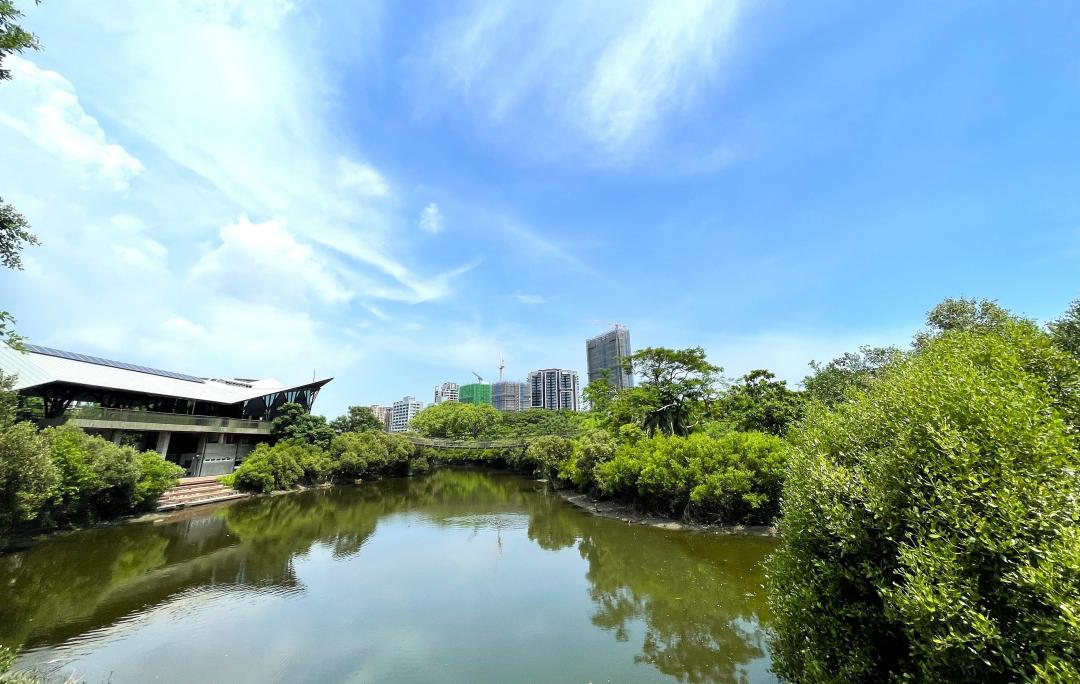 中都生活圈的發展，近年來在政府推動愛河流域景觀改造與中都溼地公園綠美化已呈現良好成果後，生活圈優質的水岸綠化景觀，成為高質感大樓推案新重鎮。