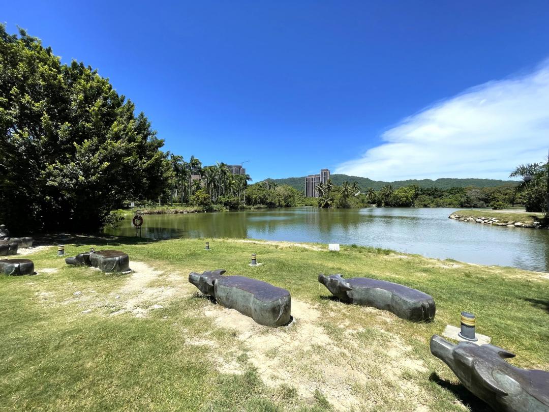 包括醫療資源密度、交通便利性、社區安全性以及生活機能完整度，將成為銀髮族選擇居所時的關鍵條件。