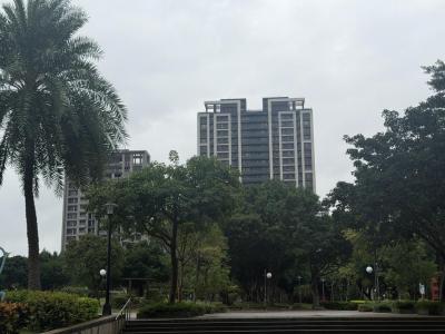 2026年可大膽進場？李同榮揭：政策鬆綁「這時間」才有機會 房市空頭到年底