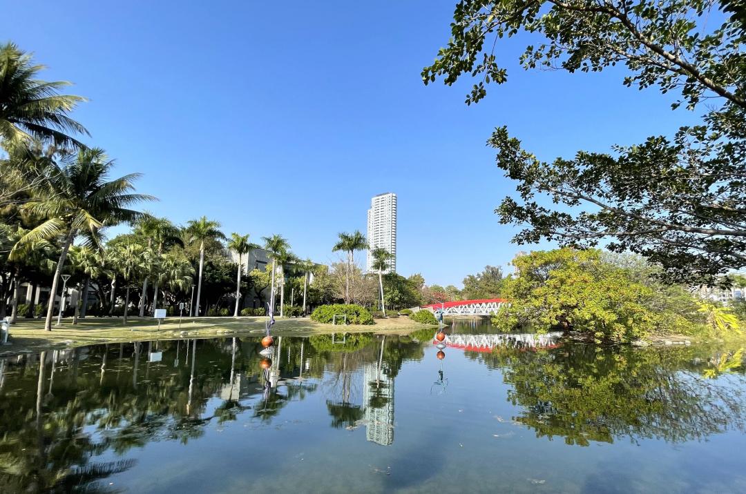 生活圈坐擁中央公園3.6萬坪水景綠地。