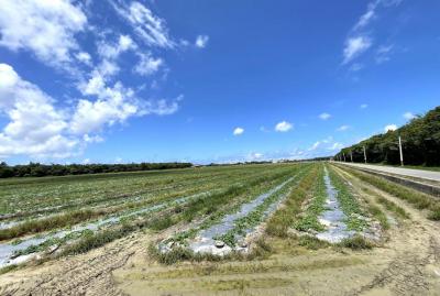 白埔產業園區設置都計變更實施  達88.73公頃朝科學園區化 岡山橋頭房市受惠