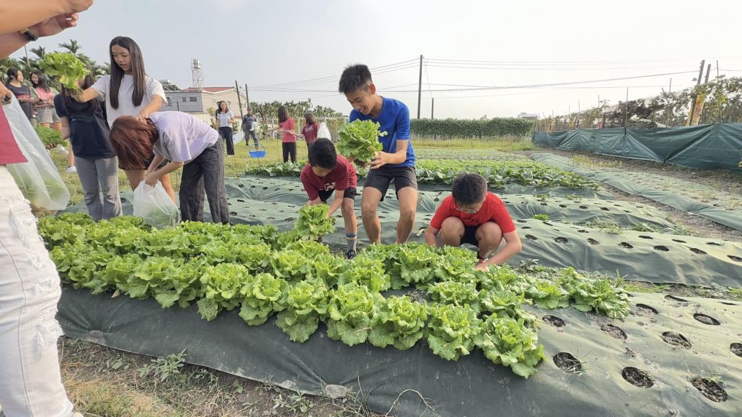 住戶入厝進住後，也邀請親友在社區旁農場親自採收蔬菜，小朋友們一起享有都市農夫的種菜收穫樂趣。(圖:業者提供)