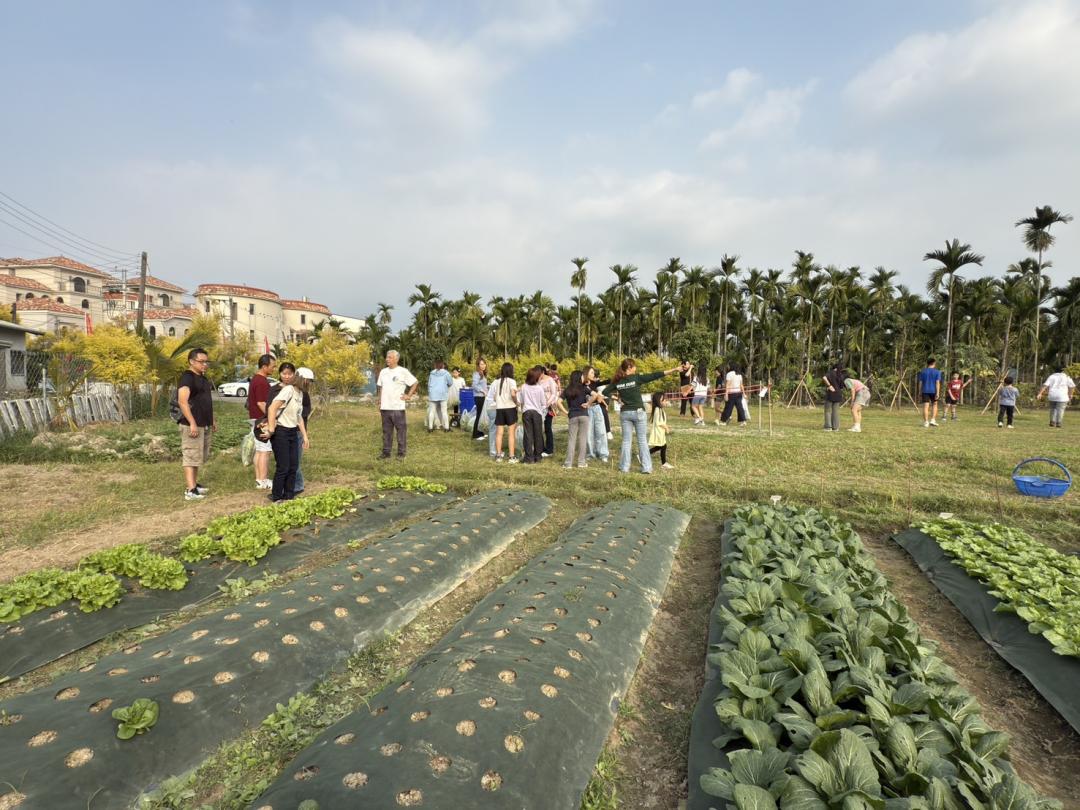 屏東竹田善寬「西班牙黃金城堡」基地對面，特別規劃600多坪開心農場，讓住戶享受樂活氛圍，日前住戶也邀請親友在社區旁農場親自採收蔬菜，小朋友們一起享有都市農夫的種菜收穫樂趣。(圖:業者提供)