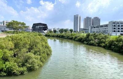 人口紅利加持 台南永康、安南與高雄鳳山、三民交易熱區  今年首購市場回穩