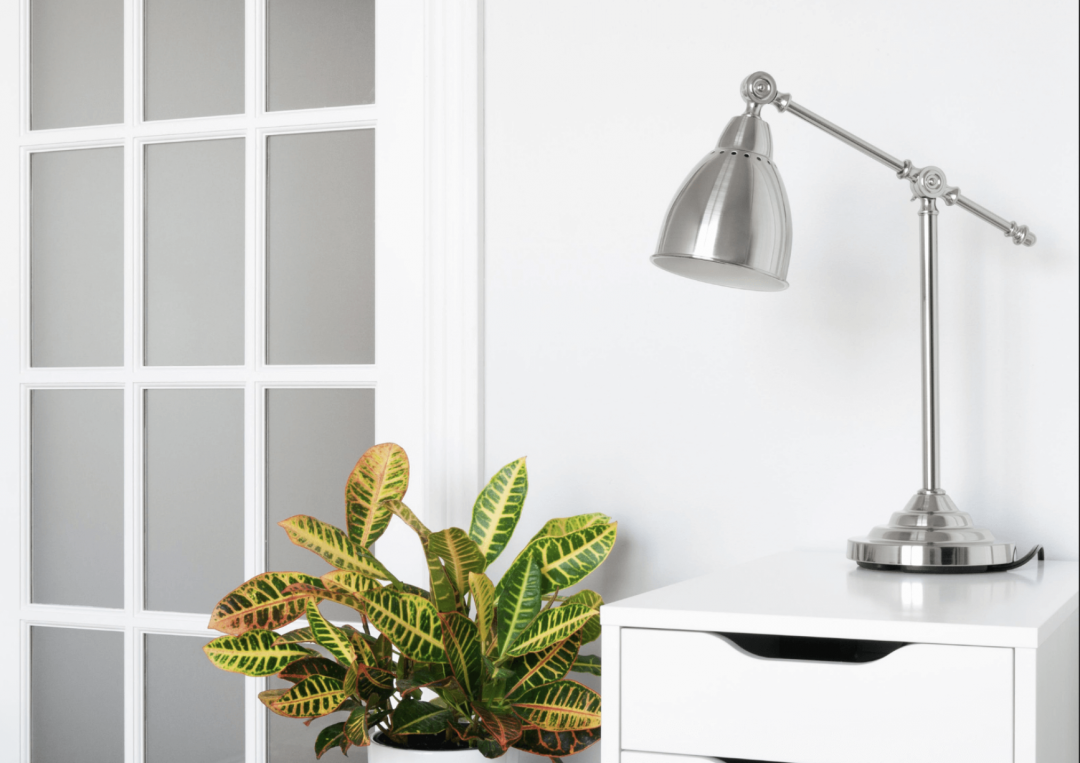 植物是最自然也最具象徵意義的招財元素，可挑選葉片圓潤、向上生長的植栽。（21世紀不動產提供）