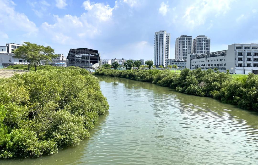 一直住家裡  短暫遷出戶籍慘遭追繳4倍地價稅  戶籍遷回未這樣做  也需多繳稅