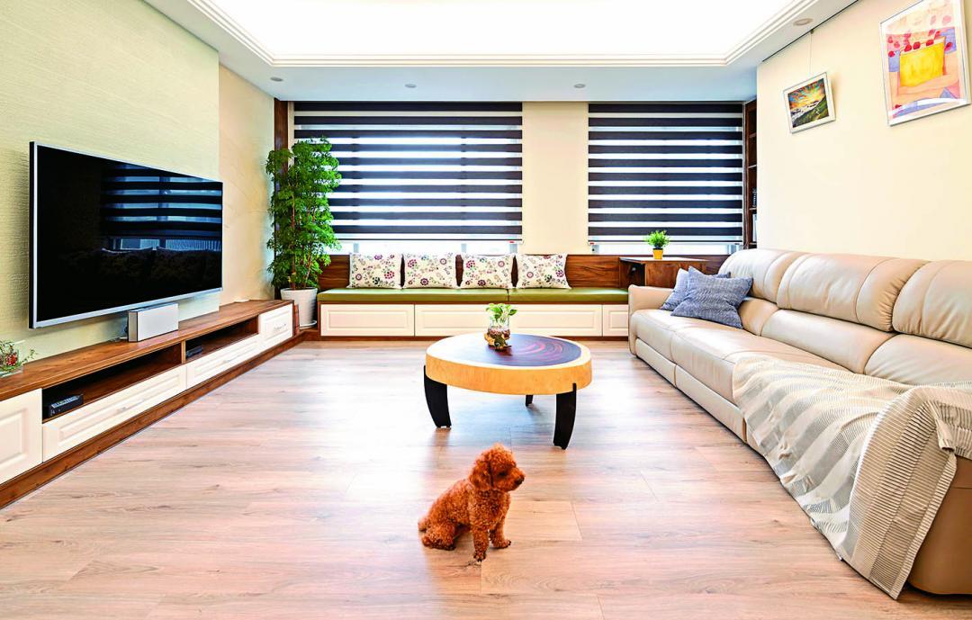 毛孩比嬰兒還多！ 專家揭祕「寵物共生宅」必懂3大法則