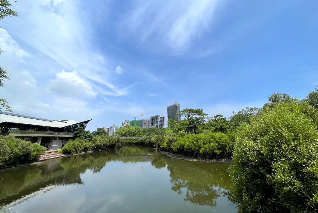 高市三民區15年人口流失逾2.6萬人  三大熱門生活圈擁綠地、商圈 房價有撐