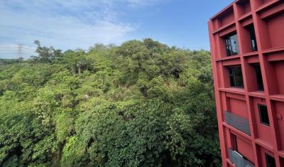 【高雄】上千億交通建設加持  大坪頂特區生活圈擁綠意環境  景觀輕豪宅新重鎮