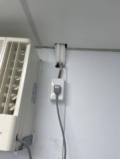 比衛生更可怕！北市鼠患藏火災隱憂 消防員：5跡象「快檢查電線」