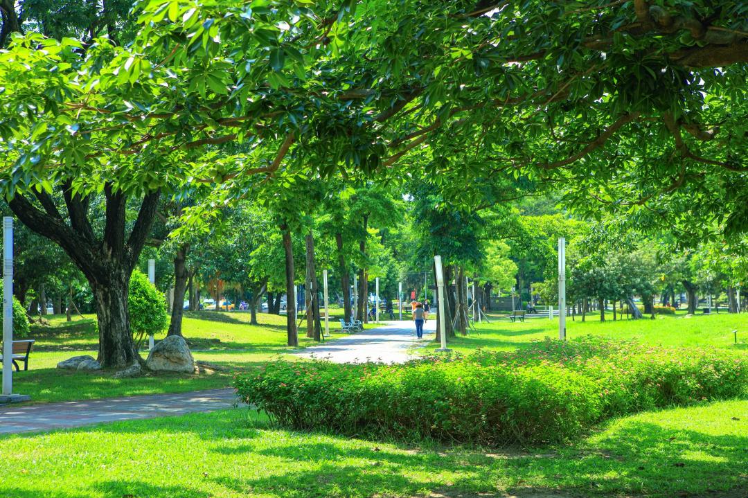 面對5.1萬坪右昌森林公園  高質感綠景輕豪宅現身