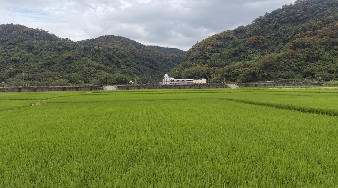 大矽谷、擴廠沒地了？國土計劃惹企業集體焦慮 苗栗縣府：免驚！還有這招