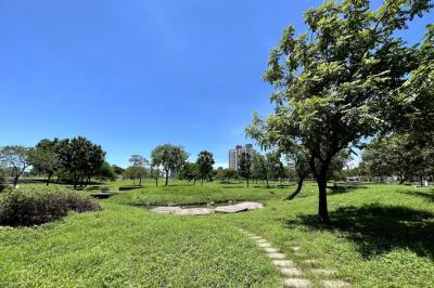 【高雄】坐擁綠意、交通路網、商圈優質環境  五甲公園街生活圈輕豪宅市場潛力足