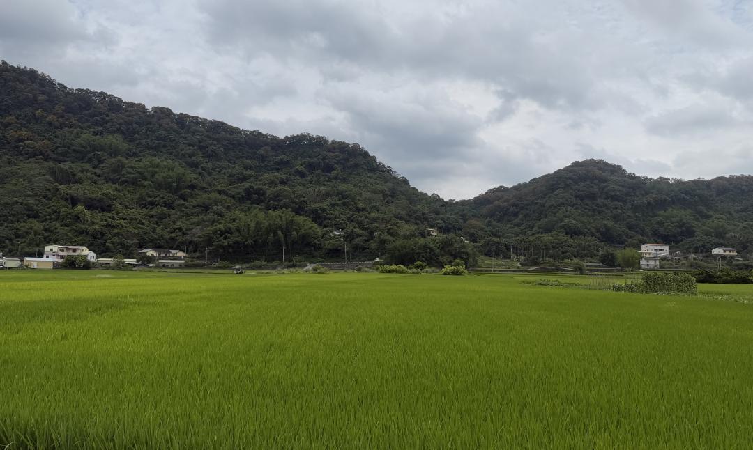 農地違規難逃衛星監控！「這些行為」一查就抓　最高罰30萬還丟稅率優惠