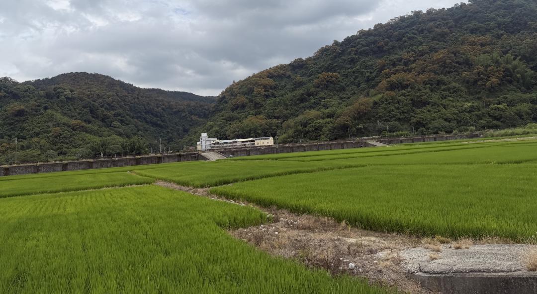農地違規過戶能歸零？他贈與老婆「接手又違規」 稅務局曝後果
