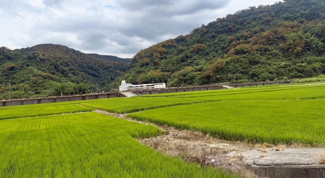 農地想擴建 拿到「容許使用」還不夠！少辦這張恐成違建