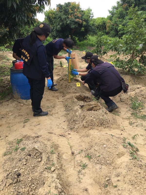 毒蟲租地種大麻誆稱九層塔果農舅幫澆水也遭殃 社會 自由時報電子報