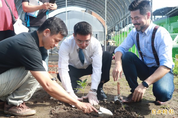 宜蘭市內精品咖啡業者虎咖啡，今在宜蘭市公所打造的「智慧農園」內種植精品咖啡樹苗，盼3年後收成，能成為宜蘭市專屬的精品咖啡品牌。（記者林敬倫攝）