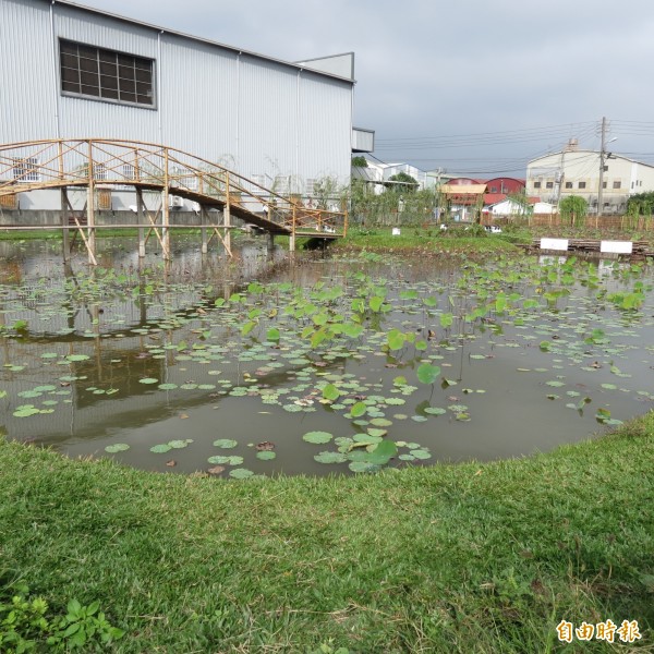 花渲光明島自然生態園區的完成，讓光明社區出現一個如詩般的秘境。（記者蘇金鳳攝）