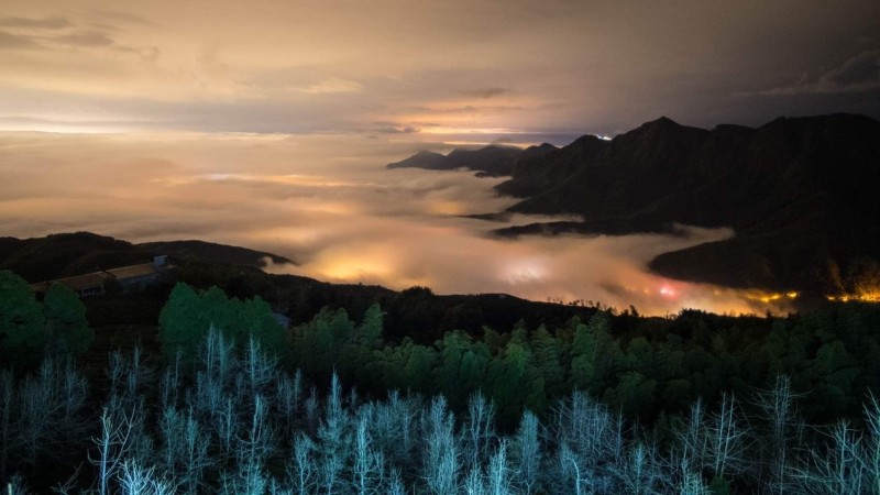 受冷空氣與水氣影響，鹿谷大崙山出現雲瀑與琉璃光美景。（武岫農圃提供）