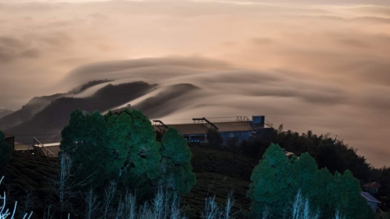 受冷空氣與水氣影響，鹿谷大崙山出現雲瀑與琉璃光美景。（武岫農圃提供）