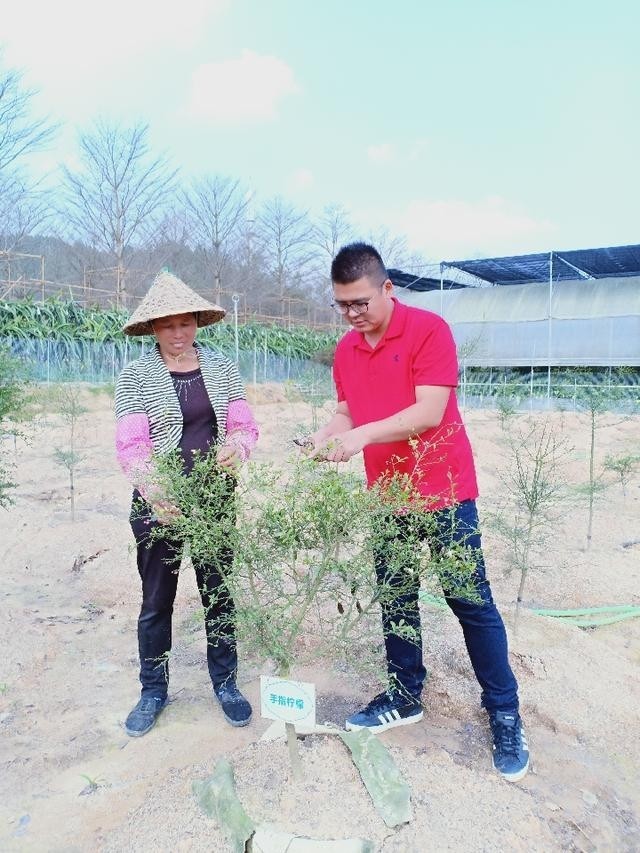 三十九歲、出身台灣嘉義農業世家的蔡志陽，最近獲聘擔任「漳浦縣台籍科技特派員」，圖為他與中國果農分享果樹栽培知識。（取自網路）