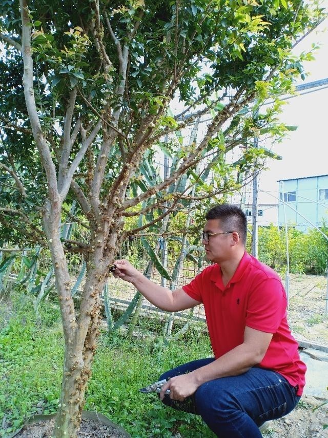三十九歲、出身台灣嘉義農業世家的蔡志陽，最近獲聘擔任「漳浦縣台籍科技特派員」。（取自網路）