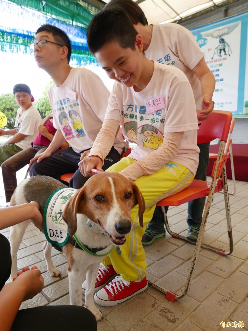 護國神犬沒當成 流浪狗豆豆改當狗醫生療癒身障院生 自由電子報影音頻道