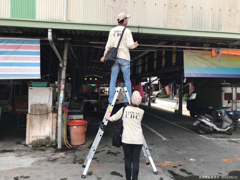 每日一爆!高雄再添一登革熱病例 病媒孳生源疑金獅湖市場 - 高雄市 - 自由時報電子報